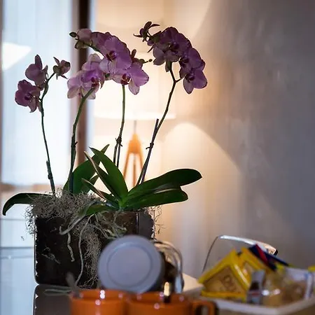 Filippini Flat Apartamento *